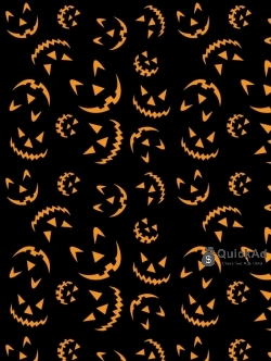 Kalpataru Exquisite in Wakad, Pune | 3 BHK Premium Homes