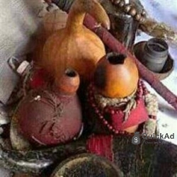 All type of AC, fridge, washing machine, water