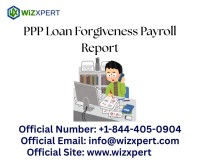 Detailed Guide About Paycheck Protection Program(PPP) Loan Forgiveness Payroll Report, Illinois, USA